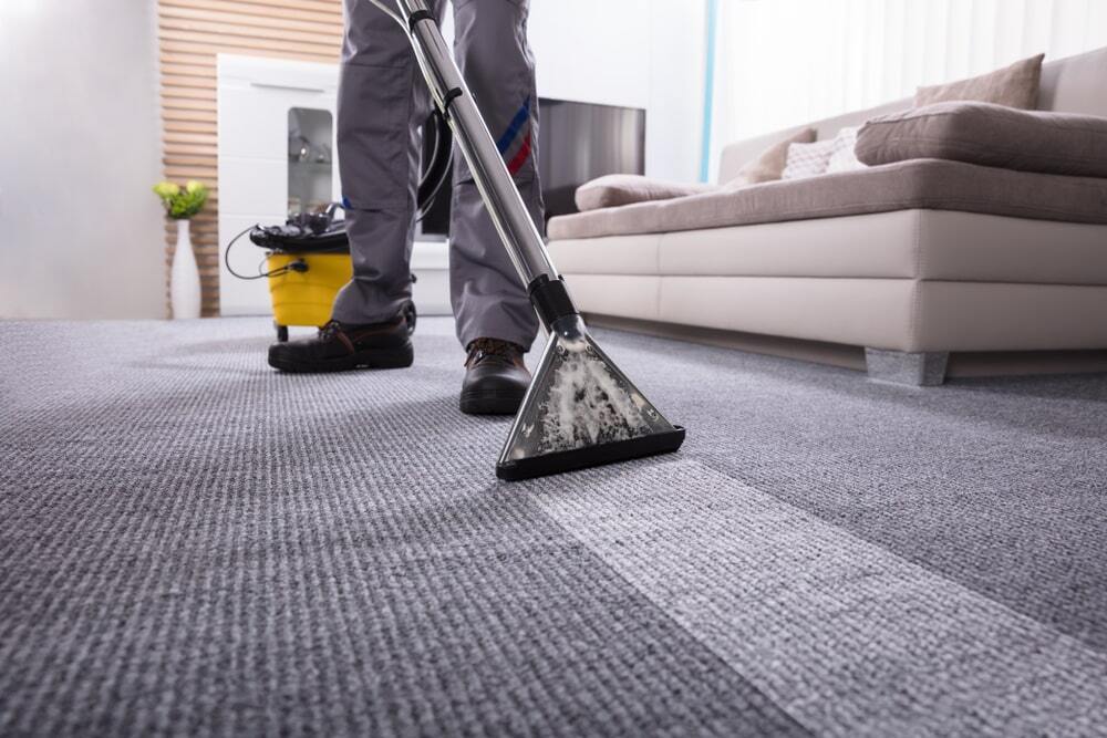 Hygiene Starts at Home: The Case for Professional Carpet Cleaning