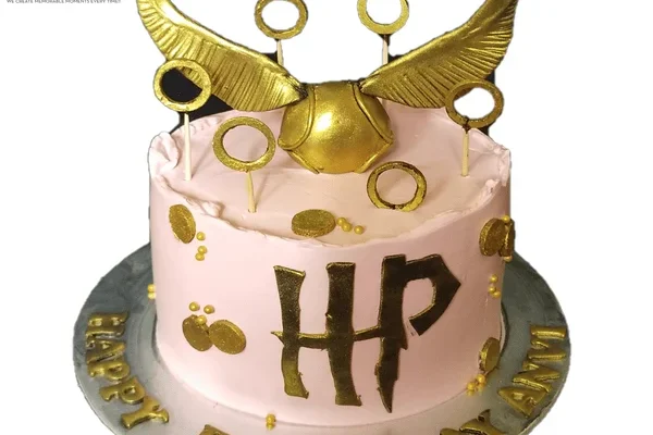 harry potter cake bangalore