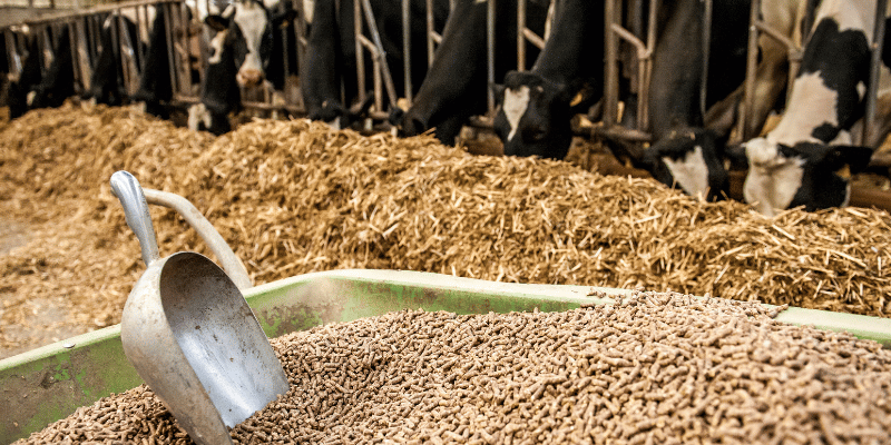 Zinc Micronutrient for Animal Feed Market