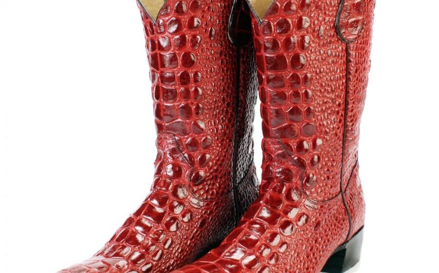 sea turtle boots