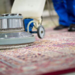 How Carpet Cleaning Contributes to a Comfortable and Healthy Home