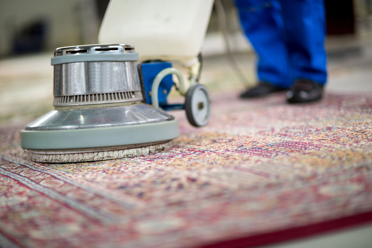 How Carpet Cleaning Improves Home Comfort and Hygiene