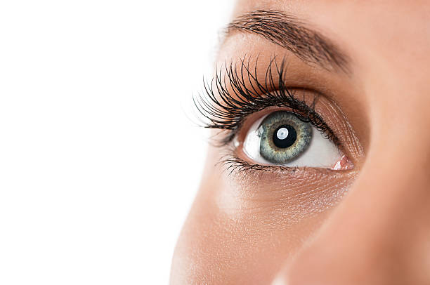 eye extension services