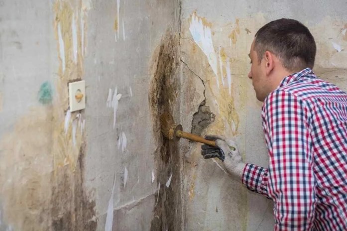 Mold Mitigation Services