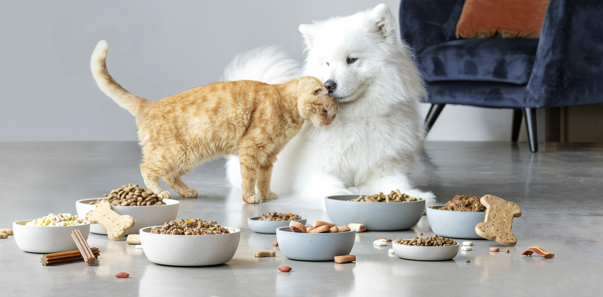 Is Homemade Pet Food A Good Option For Your Furry Friend?