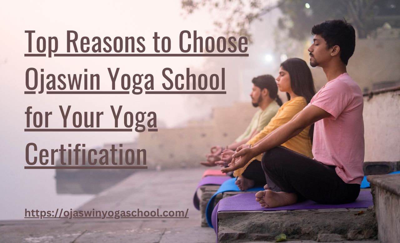 yoga teacher training school