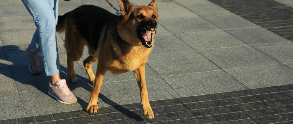 lone worker dog bite prevention