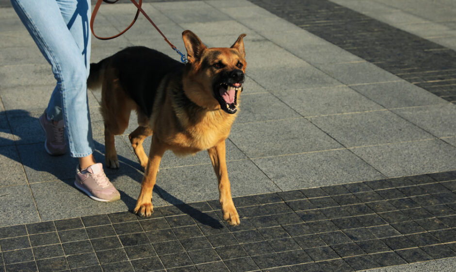 lone worker dog bite prevention