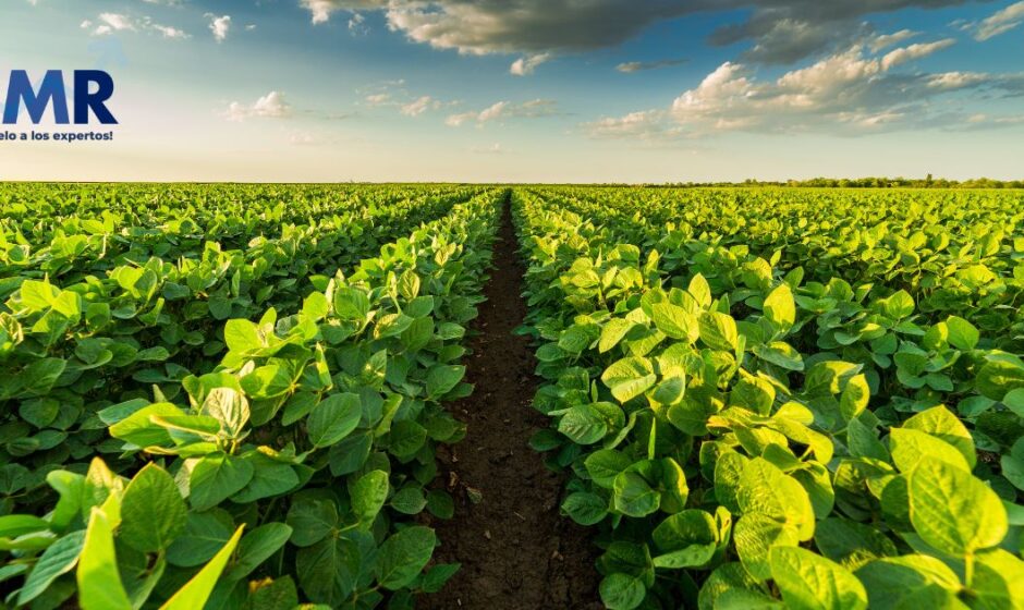 Mercado de Agricultura en Colombia