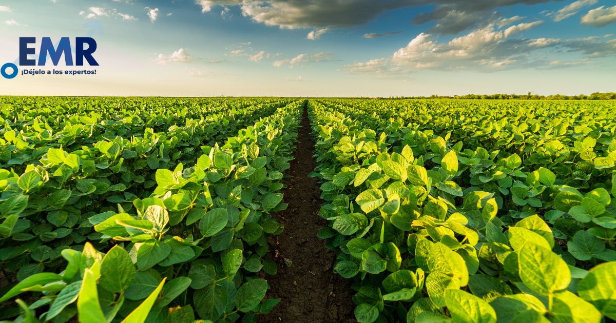 Crecimiento del Mercado de Agricultura en Colombia: Perspectivas para la Próxima Década