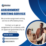 Expert MBA Project Report Writing Service – Solve Zone (2024)