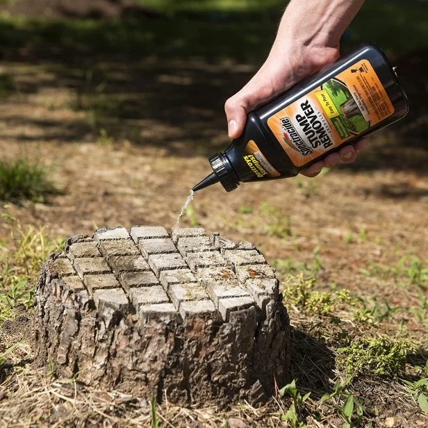 Guide to Effective Tree Stump Removal: A Step-By-Step Approach