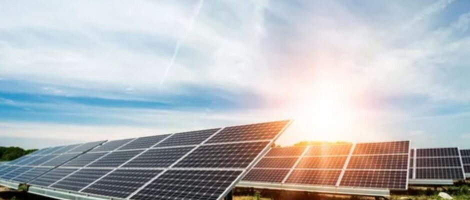 Solar panels installed in a field, basking in sunlight, showcasing renewable energy in a natural setting.