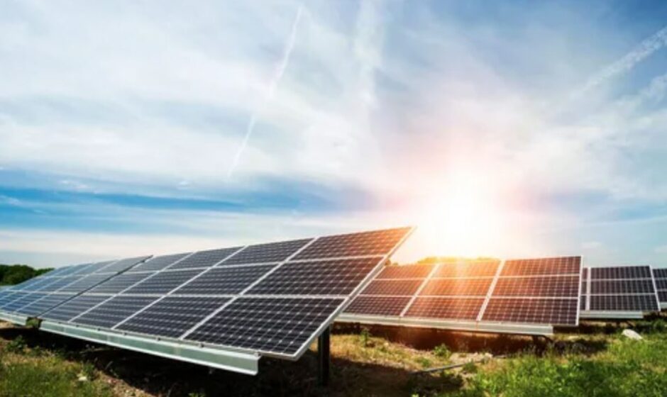 Solar panels installed in a field, basking in sunlight, showcasing renewable energy in a natural setting.