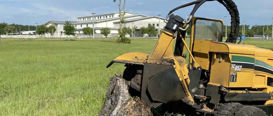 Stump grinding