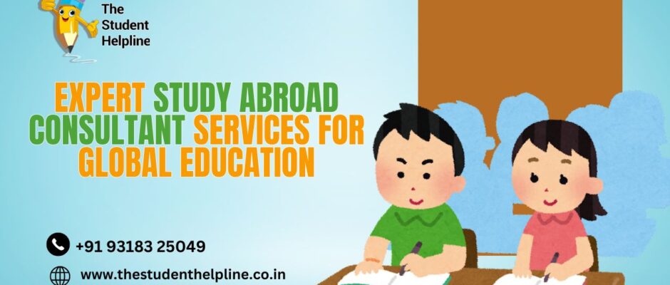 study abroad consultant