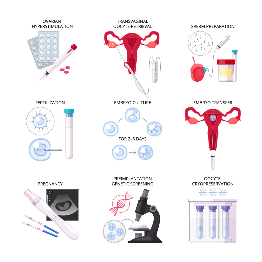 iui treatment cycle