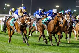 Dubai World Cup 2025: A Spectacular Event Awaits