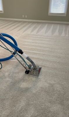 Professional Carpet Cleaning Services Brooklyn