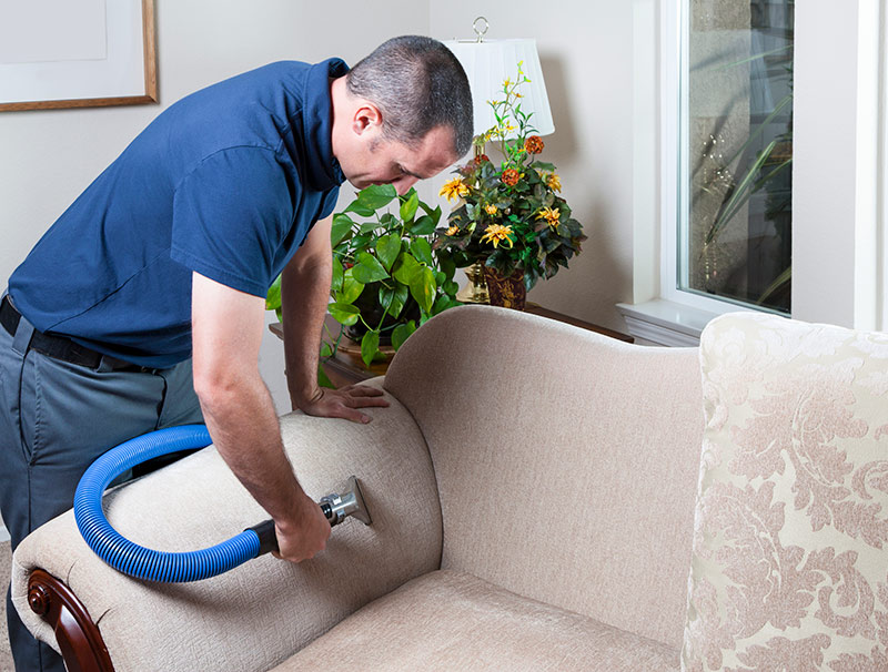 Sofa Cleaning Services: Your Comprehensive Guide to Spotless Upholstery