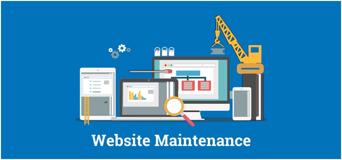 How do I know if I need professional WordPress maintenance services?