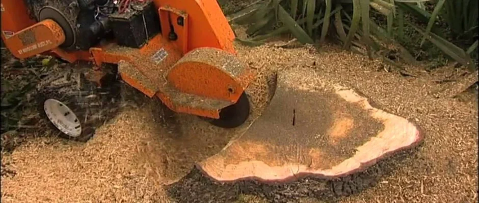 ways-of-saving-cash-with-affordable-stump-grinding-services