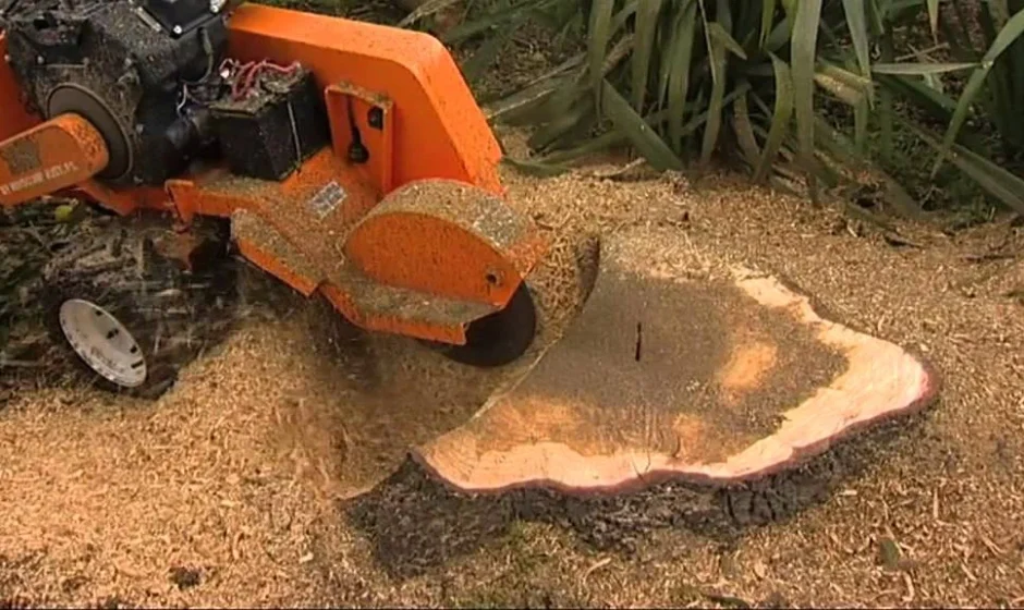 ways-of-saving-cash-with-affordable-stump-grinding-services