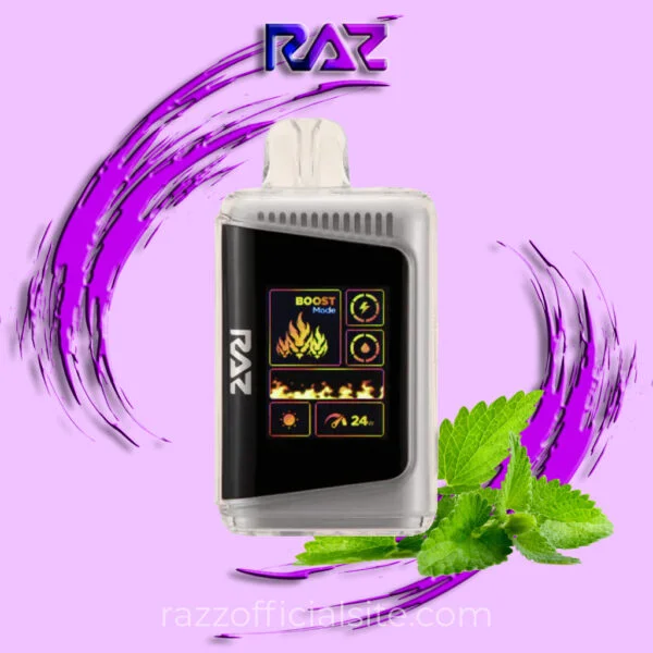 Miami Mint Raz Vape – DC25K