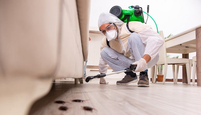 Pest Control Melbourne