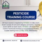 The Importance of Professional Pest Control in New York City